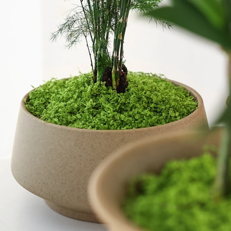 1 Adet Yapay Yosun Çim Sahte Ç - Terrarium Moss Art incelemesi ve fiyatı
