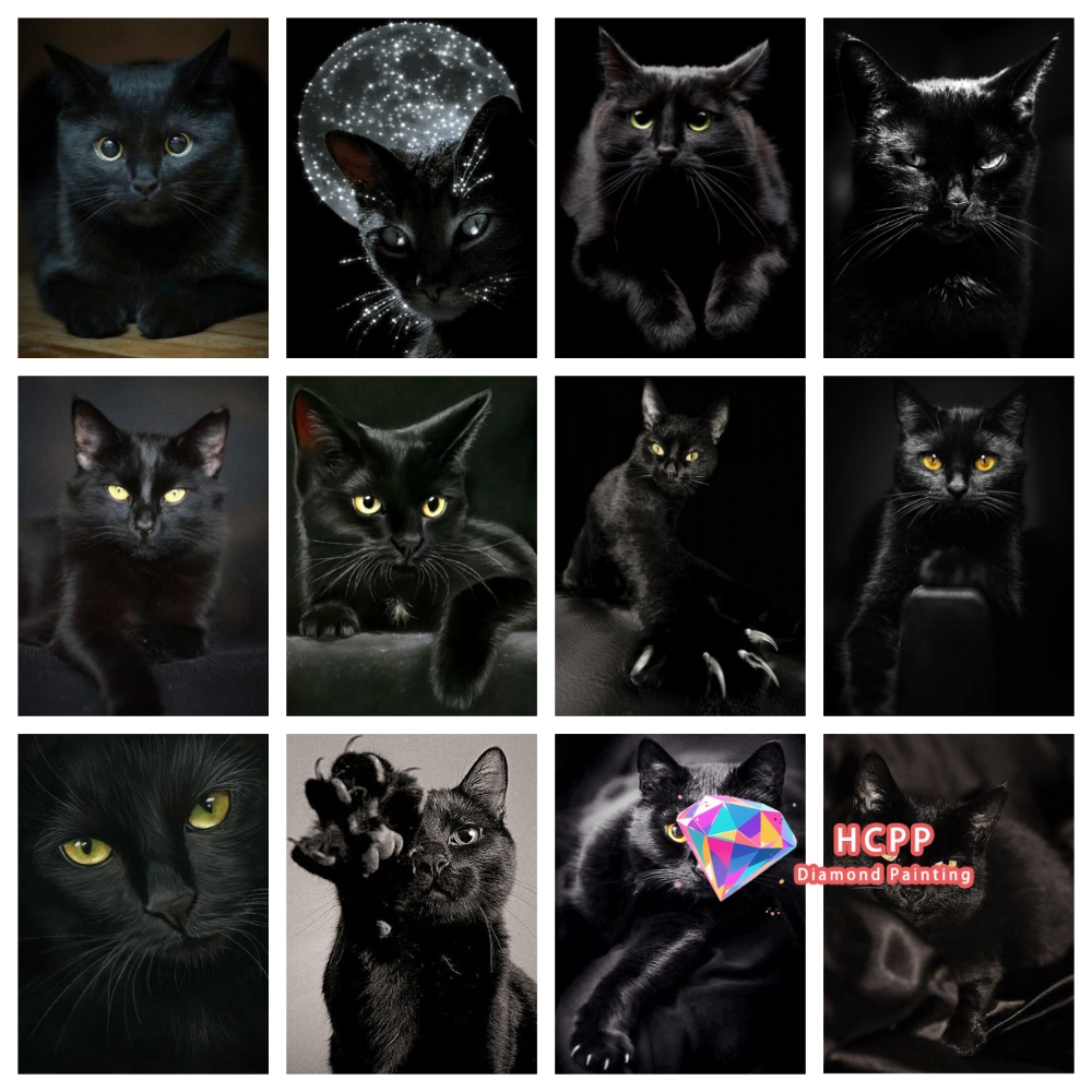 Çerçevesiz Siyah Kedi Hayvan E - Resin Craft Kit incelemesi ve fiyatı