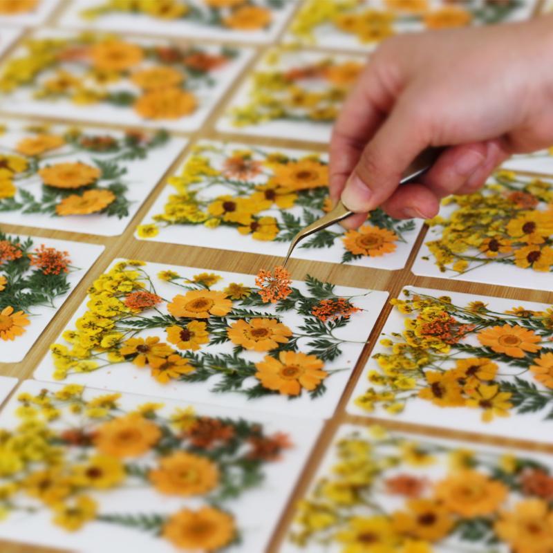 Gerçek Doğal Preslenmiş Kurutu - Flower Preservation Resin incelemesi ve fiyatı