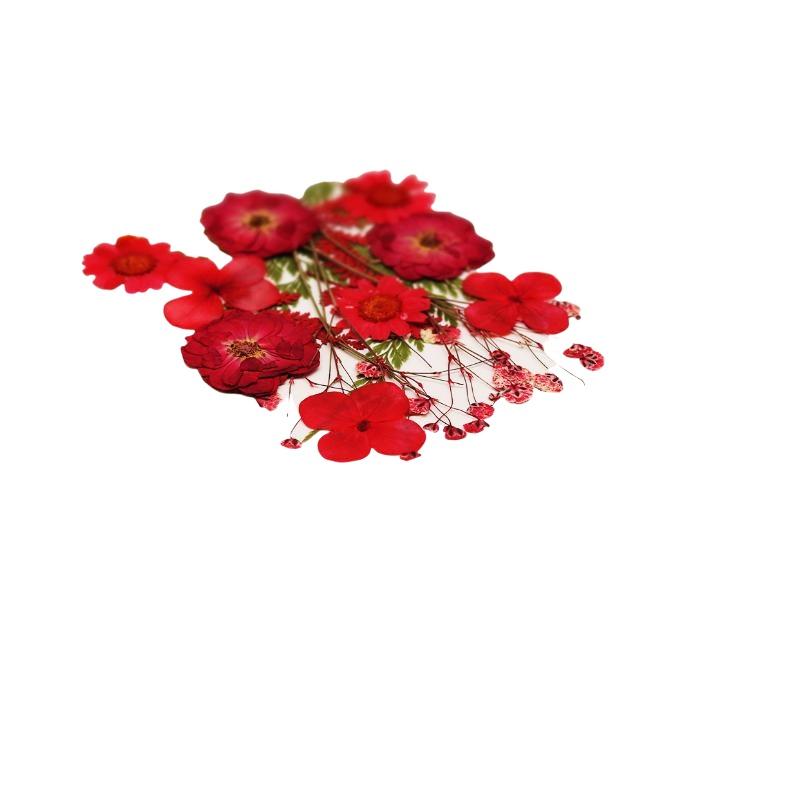 Gerçek Doğal Preslenmiş Kurutu - Flower Preservation Resin incelemesi ve fiyatı