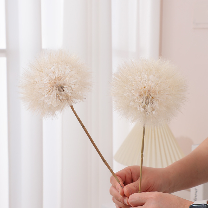 Kurutulmuş Karahindiba DIY Epo - Resin Craft Kit incelemesi ve fiyatı