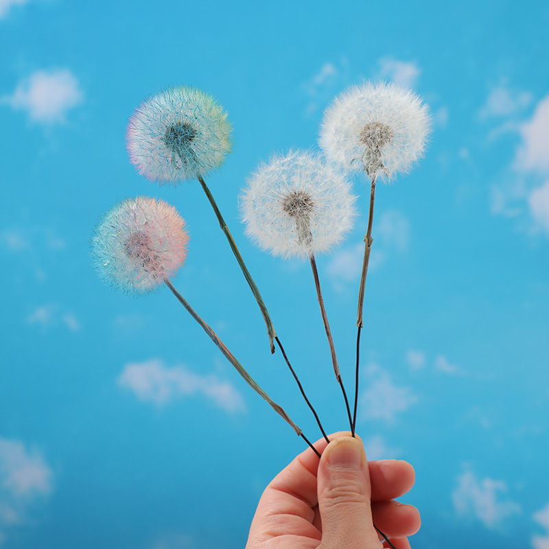 Kurutulmuş Karahindiba DIY Epo - Resin Craft Kit incelemesi ve fiyatı