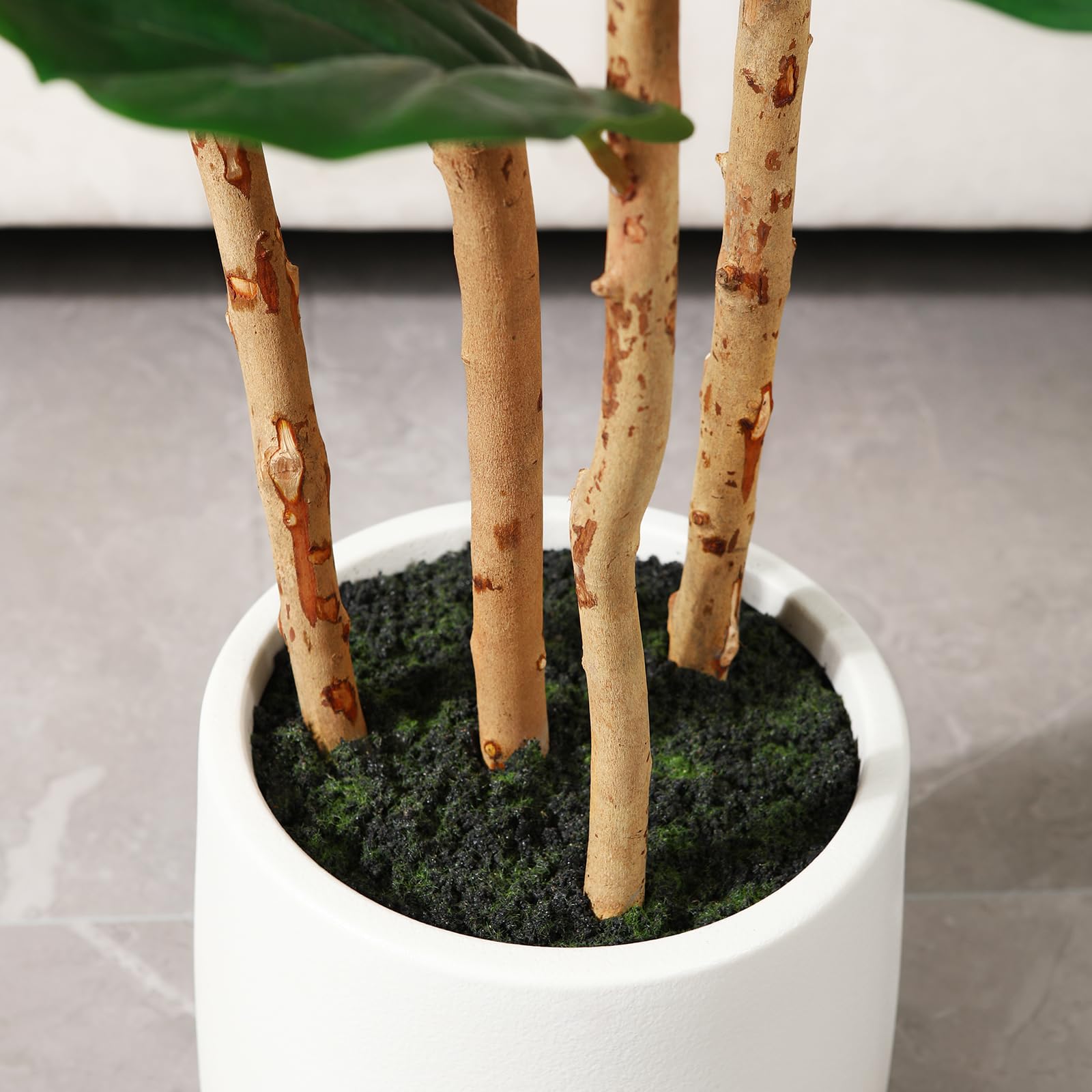 Beyaz Saksılı Yapay İncir Ağac - Terrarium Moss Art incelemesi ve fiyatı
