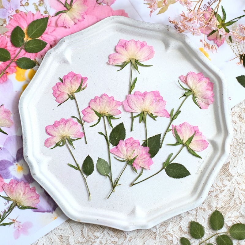12 adet, Telefon Kılıfı DIY Pe - Flower Preservation Resin incelemesi ve fiyatı