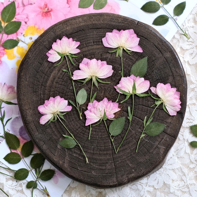 12 adet, Telefon Kılıfı DIY Pe - Flower Preservation Resin incelemesi ve fiyatı