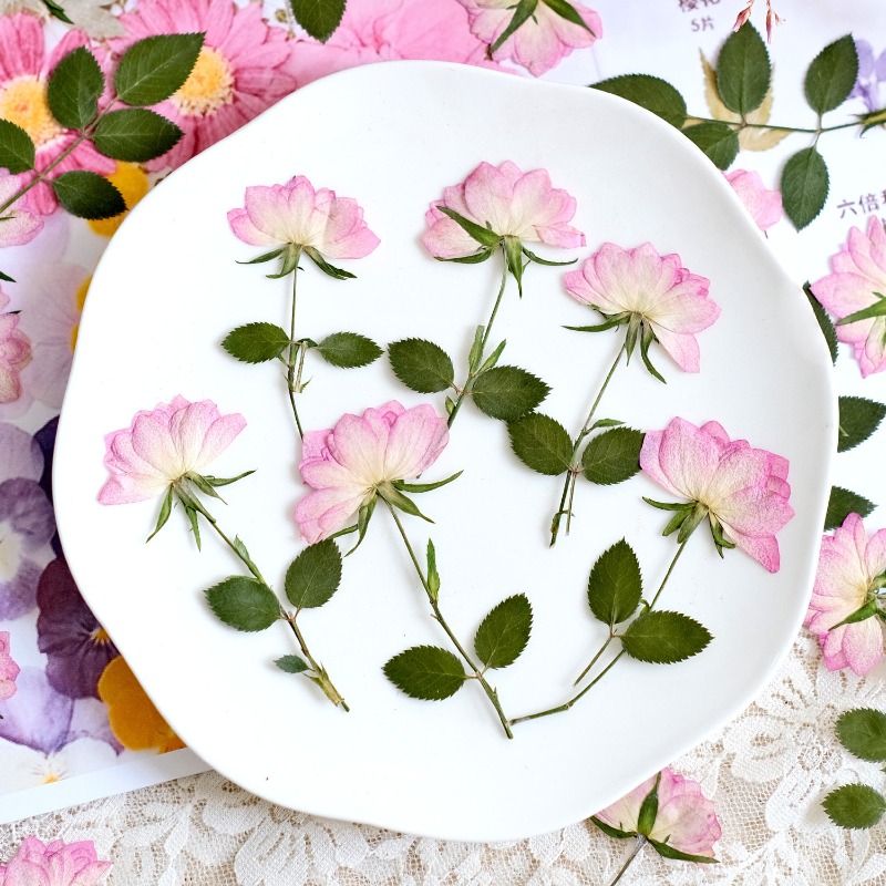 12 adet, Telefon Kılıfı DIY Pe - Flower Preservation Resin incelemesi ve fiyatı