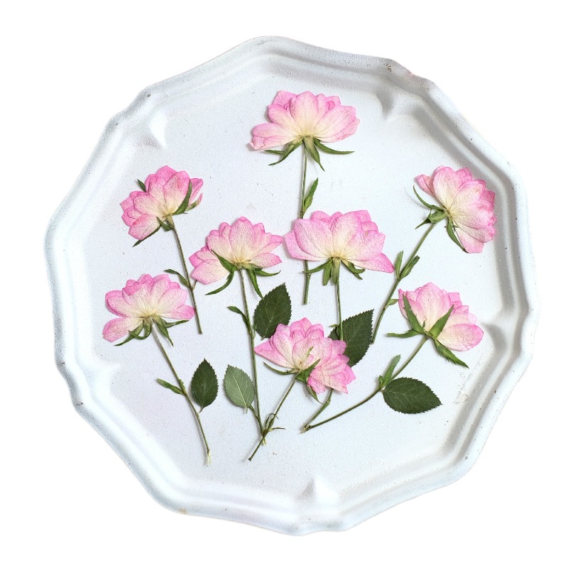 12 adet, Telefon Kılıfı DIY Pe - Flower Preservation Resin incelemesi ve fiyatı